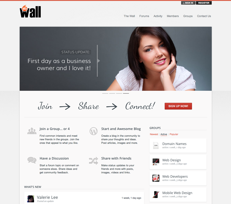 sbwall-website